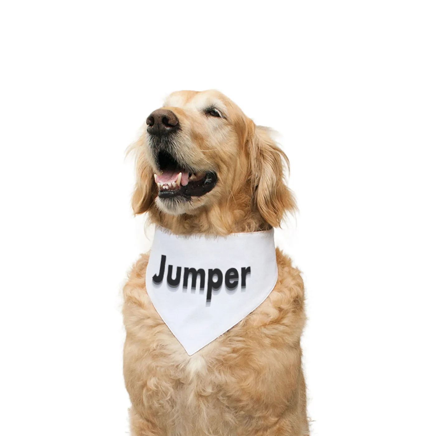 "Jumper" Printed Reversible Bandana for Dogs